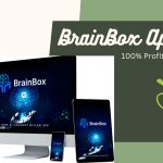 BrainBox Review