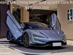 Yangwang U9 electric sports cars Review .$17,000.00!