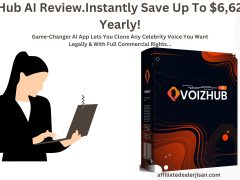 VoizHub AI